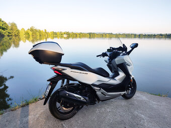 Honda Forza 300, původ ČR,  perfektní stav - 16