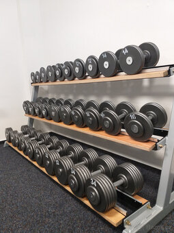 Profi jednoruční činky 2-100kg - 16