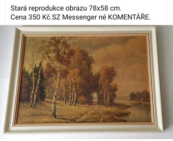 Staré obrazy viz fota. Ceny a rozměry viz fota. - 16