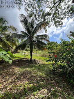 Punta Blanca, Lot 2 - 16