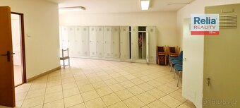 Pronájem haly s kancelářemi 700 m2 Provodín, ev.č. N50698 - 16