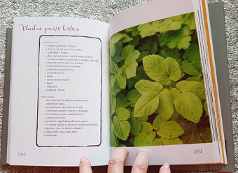 Kuchařka ze Svatojánu 2x a Rok ve Svatojánu - 16