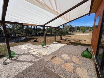 Farma 13.000m2 u moře🇮🇹 - 16
