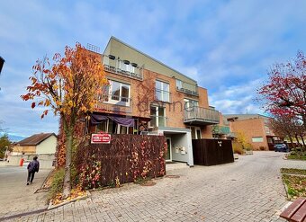 Pronájem bytu 2+kk/B 65m², ul. Karla Zicha, Praha 10 - Uhřín - 16