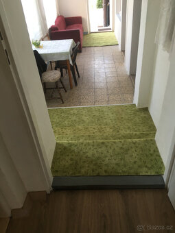 Prodej RD se zahradou, Hrušovany nad Jevišovkou, okres Znojm - 16