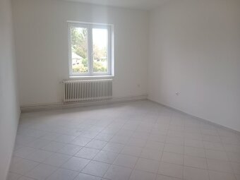 Prodej dvou domů v Českých Velenicích - 16
