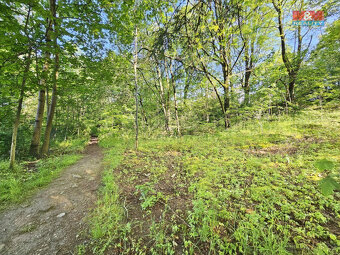 Prodej pozemku k bydlení, 9804 m², Aš - 16