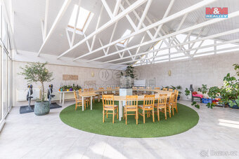 Prodej rodinného domu, 300 m², Město Albrechtice - 16