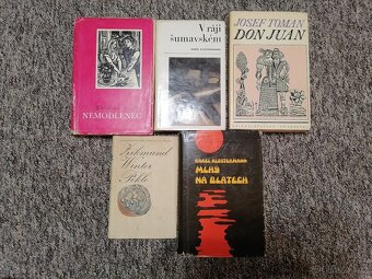 Nabízím různé knihy - 16