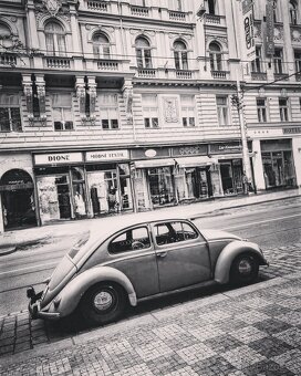 Volkswagen brouk 1953 6v - 16