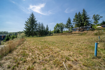 Prodej, pozemek k rekreaci, 829 m2, Zábřeh - Dolní Bušínov - 16