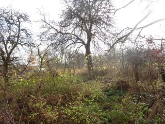 Bydlení na venkově - 16