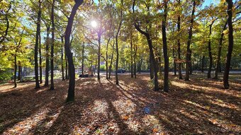 Prodej stavebního pozemku 1261 m² Vltavská, Březová-Oleško - - 16