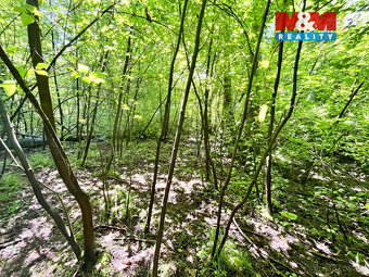 Prodej vodní plochy, 3255 m², Skalice u České Lípy - 16