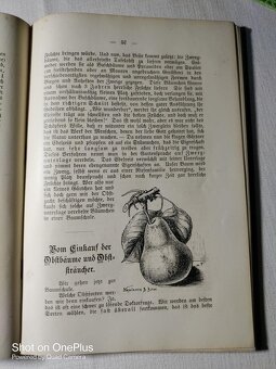 Zahrada mládeže z roku 1902-Marie Teuscher - psáno Šwabachem - 16
