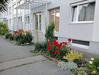 Nabízím byt 3+1 ve skvělé lokalitě - 16