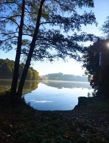 PŘÍPRAVA REZERVAČNÍ SMLOUVY: Prodej rodinné domy, 127 m2 - M - 16