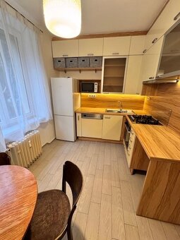 Pronájem bytu 2+1,56 m2, Plzeň Koterovská ul. - 16