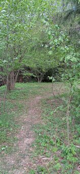 Prodej chaty u Telče - 16