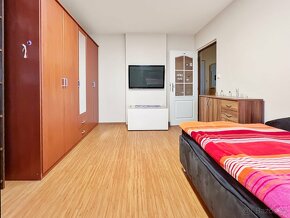 Prodej prostorného bytu 4+1, 111 m2 - Práče u Znojma - 16