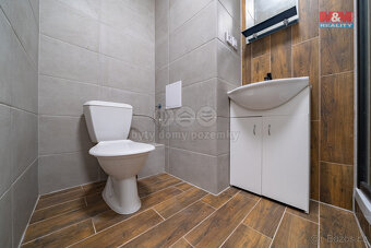 Pronájem bytu 1+1, 38 m², Bukovany - 16