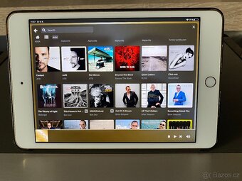 Sony DAR-1000ES - verze 2.1 CHAMPAGNE/BLACK - 16