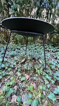 ZAHRADNÍ PÁNEV NA OHNIŠTĚ - 16