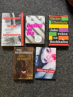 Úklid knihovny - 16