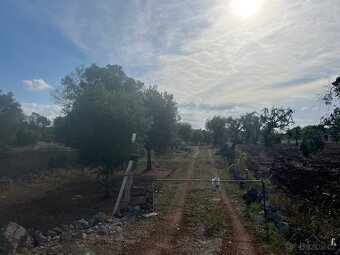 Stavební pozemek 18.000m2 na jihu Itálie 7km od moře - 16