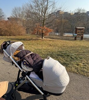 surodenecky kociarik CYBEX Gazelle S Stone Grey Gold - 16