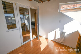 Podnájem bytu 2+1, Zahradnická, Staré Brno,  23.000 Kč/měs,  - 16