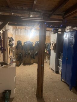 Nabízím ustájení 24/7 v Karviná - Louky - 16