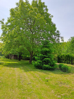 Prodej RD, chalupy, místo k podnikání - 16