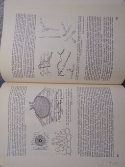 Zemědělská Fytopatologie 1, 2, 3. - 16