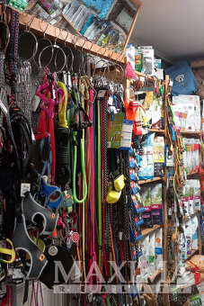 Dům 3+kk o ploše 103 m2 - Městec Králové, Městec Králové - 16