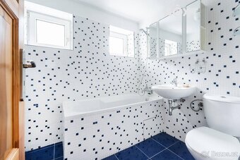 Prodej Rodinný dům, 425㎡ - 16