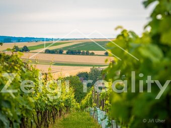 Prodej, Svatobořice-Mistřín, sad/vinice 3501m2 - 16