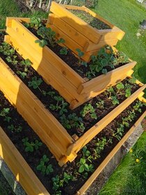 dřevěné vyvýšené zahradní záhony, květináče, jahodníky - 16