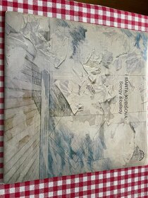 Gramofonové LP desky - 16