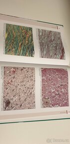Histologický atlas, Vyprac. otázky z hist, Zákl. fyz. - 16