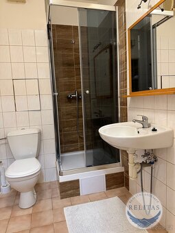 Pronájem bytu 1+kk 31 m² - 16