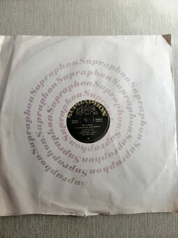 Gramofonové desky - 16