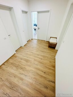 Pronájem bytu 2+kk 70m²,v lokalitě Milana Ticháka Vila Park - 16