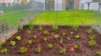 Pronájem, byty/1+kk, 34 m2, Císařského pluku 3078/5, 74601 O - 16