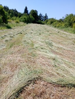 Zahrada u Loun, v obci Brodec, krásné okolí - 16