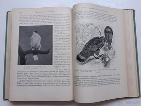 Alfred Brehm, Brehmův život zvířat I.-IV. (11 svazků) 1926 - 16