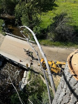 Rizikové kácení a péče o stromy - 16