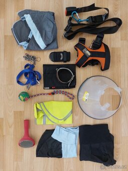 Výbava pro menšího psa (např. pro vipeta) za jednu cenu - 16