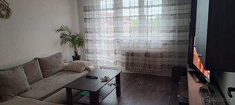 Byt 3+1 cihla Plzeň Bory Máchova ulice - 16