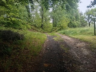 Prodej slunného, pozemku 1 103 m² v Hodkovicích nad Mohelkou - 16